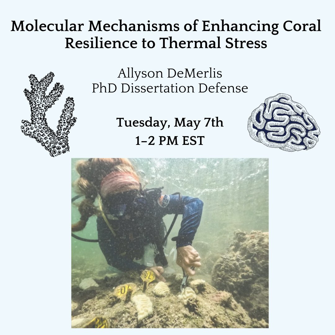allydemerlis's tweet photo. My PhD defense is coming up! I can't wait to share what I've been working on for the past five years. If you're interested and able to attend, there's a virtual option - if you would like the Zoom link, please fill out this Google form: https://t.co/A0YNIa9KDK https://t.co/wzKSq4ryKD