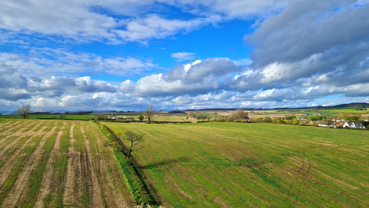 Evening sunshine between #Stirling and #Falkirk today (25/4) #WeatherWatcherGraham @BBCScotWeather @BBCAimsir @bbcweather #loveukweather✔️