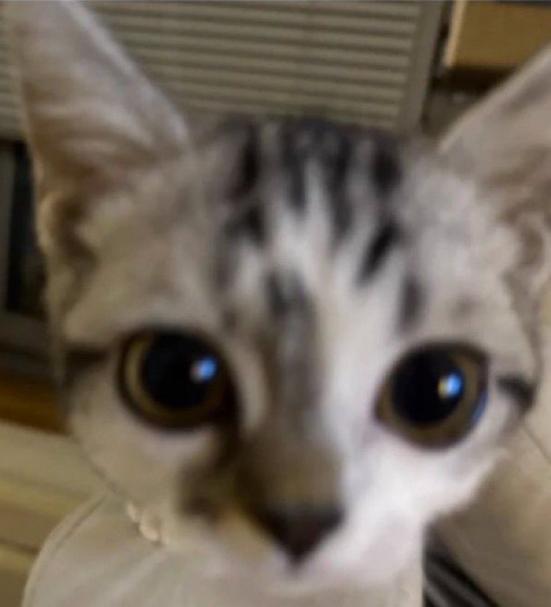 puedo ir a tu casa y mirarte asi???