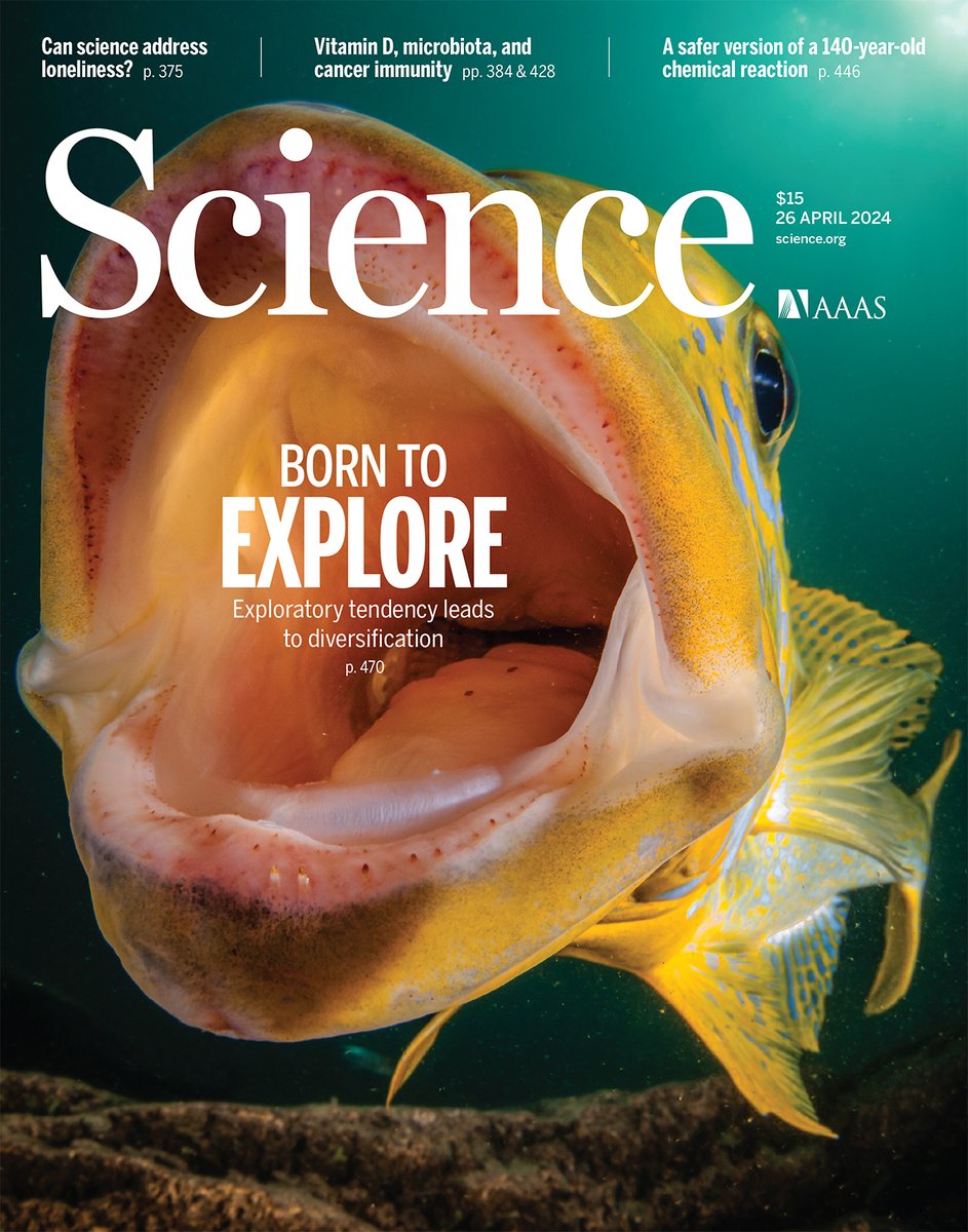 About 250 cichlid fish species have evolved in Lake Tanganyika in less than 10 million years. Researchers in Science have linked exploratory behavior to niche adaptation in these fish and identified a genetic variant with a strong effect on the behavior. scim.ag/6Jr