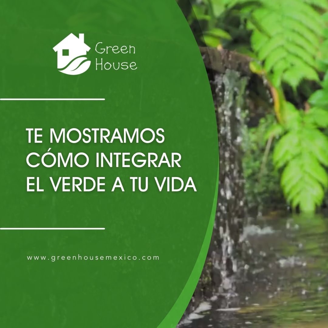 _GreenHouseMx's tweet photo. ¿Quieres integrar más verde en tu vida? 

¡Te mostramos cómo hacerlo! Desde pequeños cambios en tu hogar hasta hábitos diarios más sostenibles, descubre cómo puedes vivir en armonía con la naturaleza

#GreenHouse #CuidemosDelMedioAmbiente #ImpactoAmbiental #HábitosSostenibles https://t.co/CEwXRMlKTI