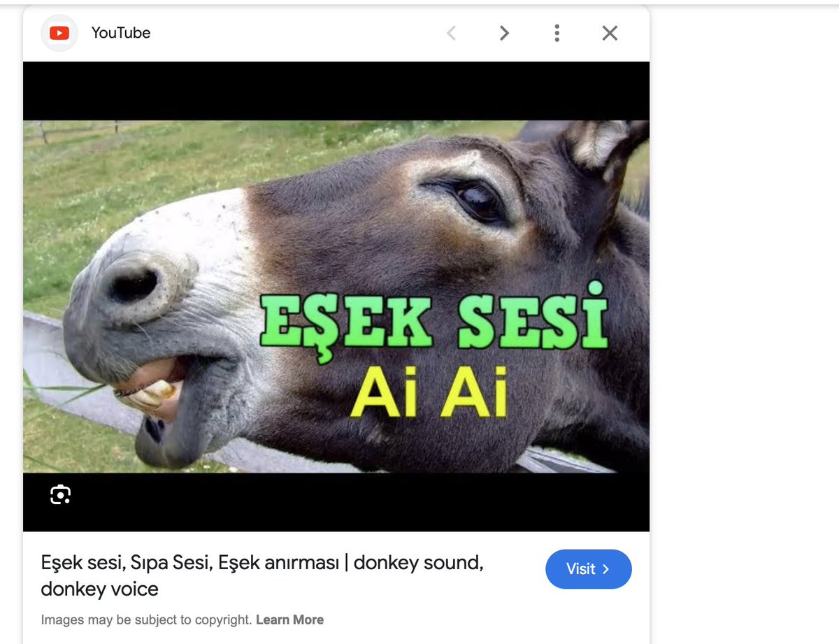 In Turkish, the donkey braying sound is written as Ai, Ai