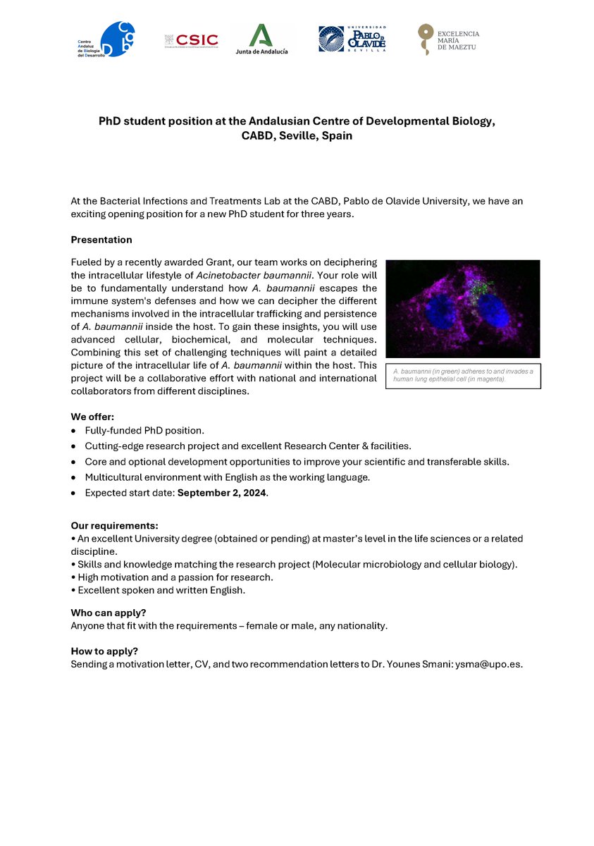 We are #hiring! Looking for a new PhD student to work on bacterial intracellular persistence in the Bacterial Infections and Treatments Lab at the CABD (Seville,Spain). Expected date to start is September 2024. Please RT! #PhDPosition @CABD_UPO_CSIC @pablodeolavide @ibis_sevilla