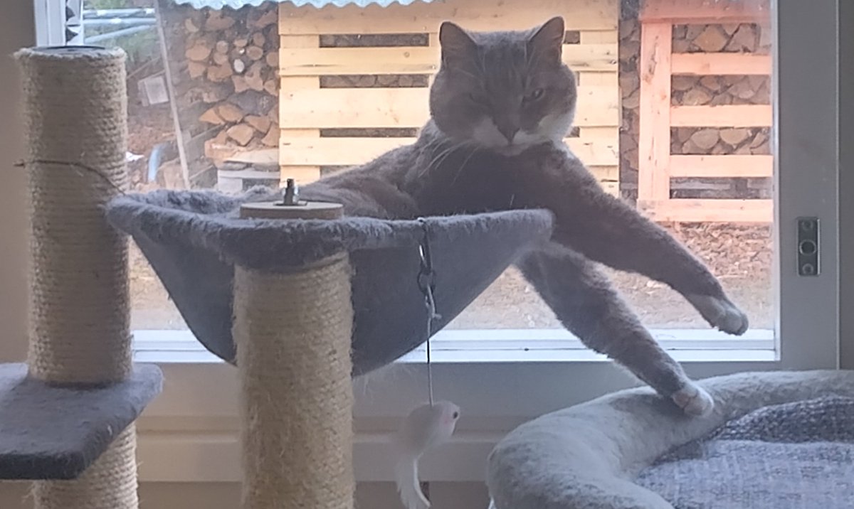 Koht muate, toi yx tuli TAAAS häiritteen, höh, huanoo palveluskuntaa töllis, ötsyt Muruut😻