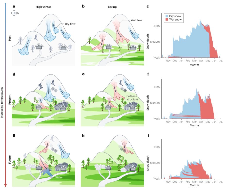 🚨New Review! Avalanche conditions are influenced by temp & precip changes Eckert et al (inc. @johan_gaume, @docmepra & @ccia_geneva) assess past & projected impacts of climate change on avalanche activity & related risks nature.com/articles/s4301… (free: rdcu.be/dFMkp)