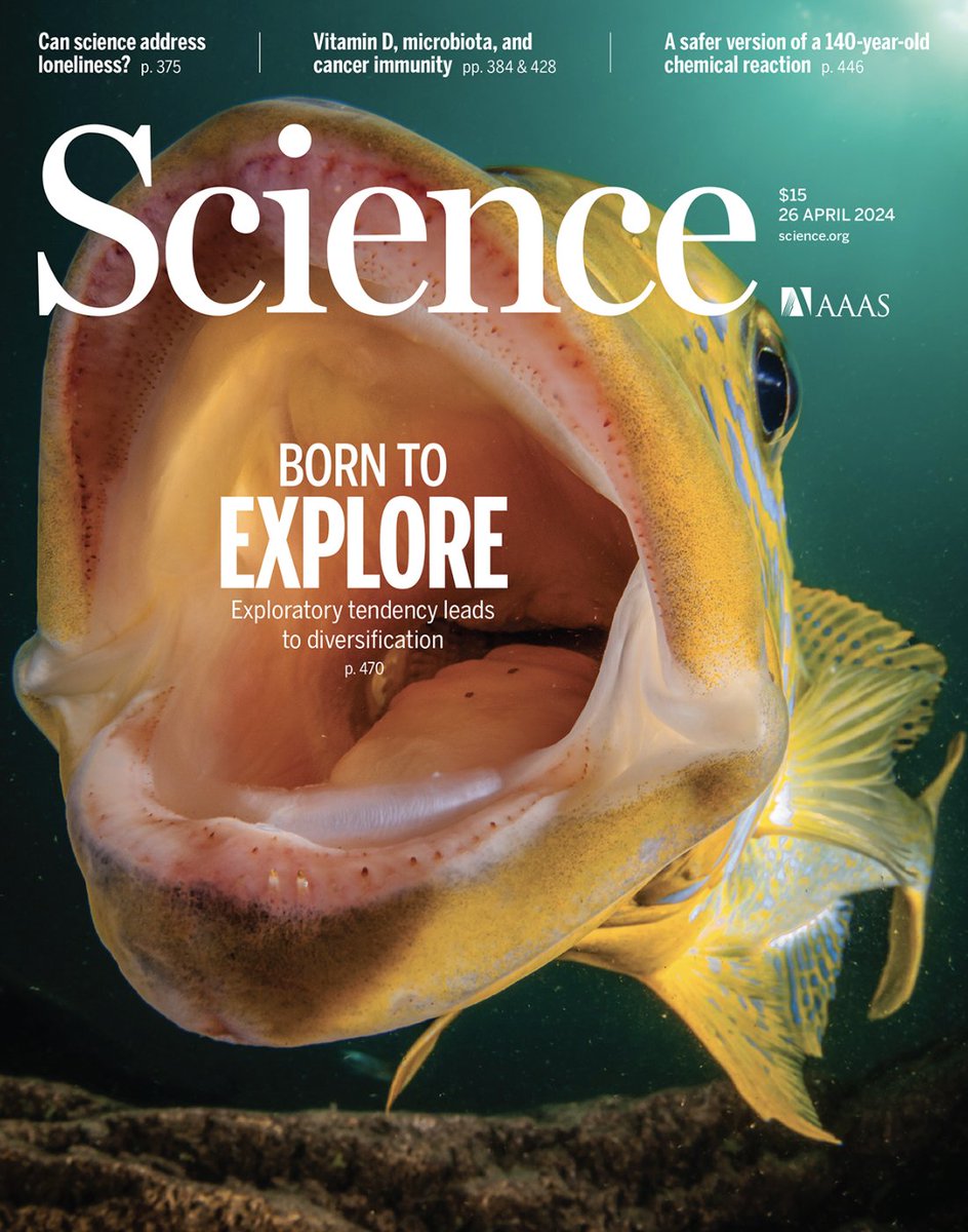 New in @ScienceMagazine! What's the role of behavior in evolution? Is curiosity linked to diversification? And how is curiosity encoded in the DNA? These questions motivated our study: science.org/doi/10.1126/sc… #ScienceResearch