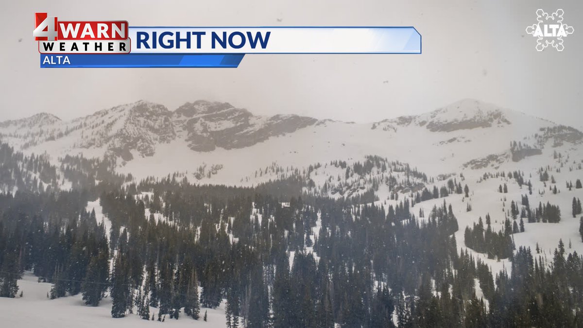 Snow has returned to the upper cottonwoods! Could be a good few days above 8,000 ft.! #utwx