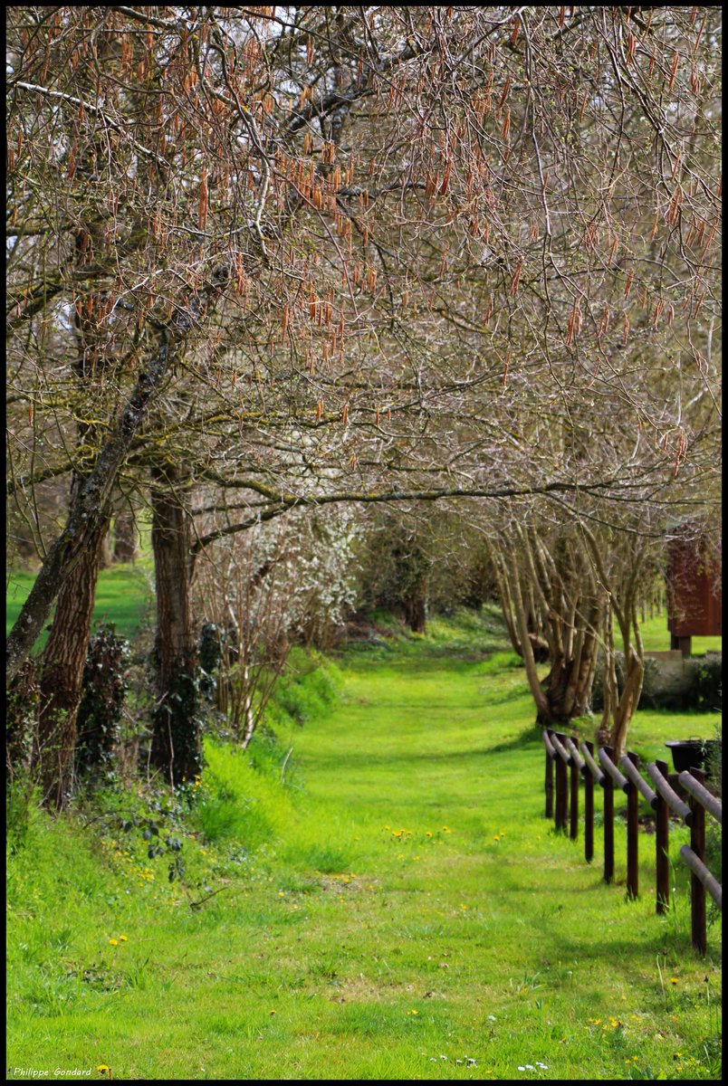 Sarthe V'la le printemps ! #EpineuLeChevreuil #Sarthe #laSarthe #sarthetourisme #labellesarthe #labelsarthe #Maine #paysdelaloire #paysage #nature #campagne #rural #ruralité #gondard #route #road #OnTheRoadAgain #graphique #chemin #randonnée