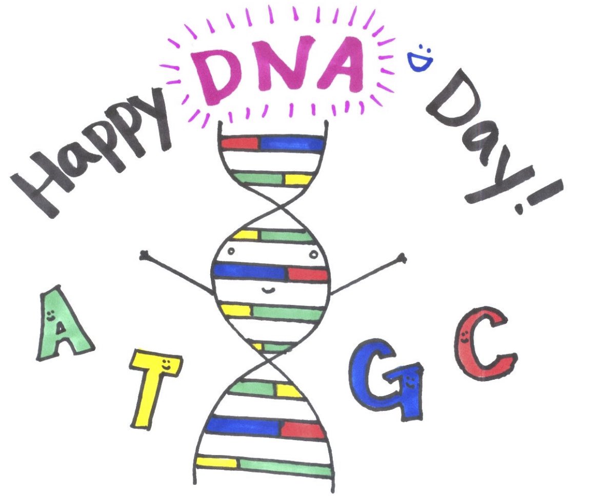 Feliz día del DNA. 

#DNADay24