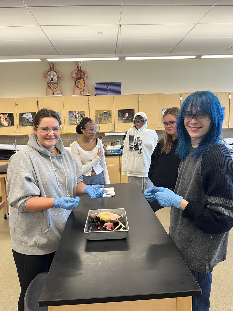 MonomoyBio's tweet photo. Excellent rat dissection in biology today… and some unusual findings 👀 @MonomoySchools https://t.co/mDo4OLIj0p