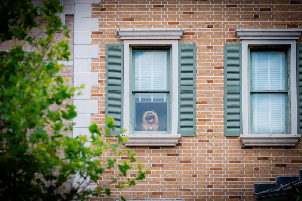 SPOTTED: Mel and Leonard from The Secret Life of Pets have taken up residence in New York apartments at Universal Studios Florida. 🐾