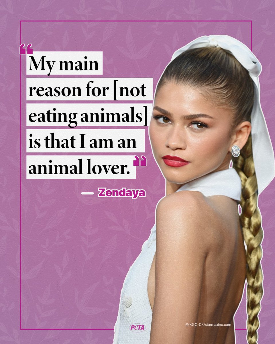 We challenge you to go vegan and make a difference for animals, just like @Zendaya! #ChallengersMovie