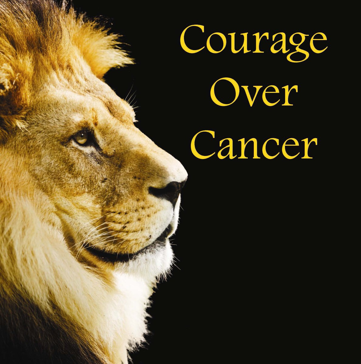 Give someone the gift of #courage and #inspiration to fight #cancer with this book of photos and #inspirationalquotes. Avail. via Amazon, BN, IndieBound, and select retailers. Learn more at cravepress.com. #TBT #ICYMI #bookrelease