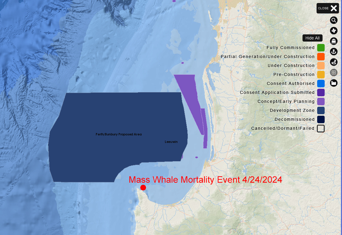 If you ask the green criminals, it's never their fault.

Australia has had another Mass mortality event in an offshore wind development zone.  It's one of many in recent years. 

A whale with damaged brain tissue and hearing is a dead whale.  So most likely, all these whales will…