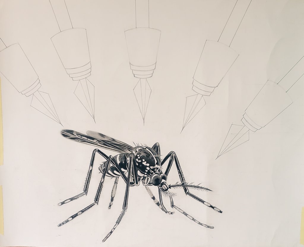 Mrs Anopheles looks quite cute and harmless right? But her sting has sent a number of folks to early grave. 
Does she deserve to live????
#WorldMalariaDay 
#who
#Health 
#HealthyLife 
#pencilart