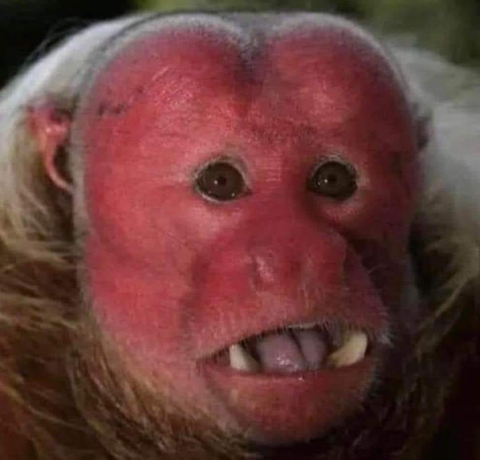 pollowsky666's tweet image. "Pido que se prohíba hablar del #CartelInmobiliario "