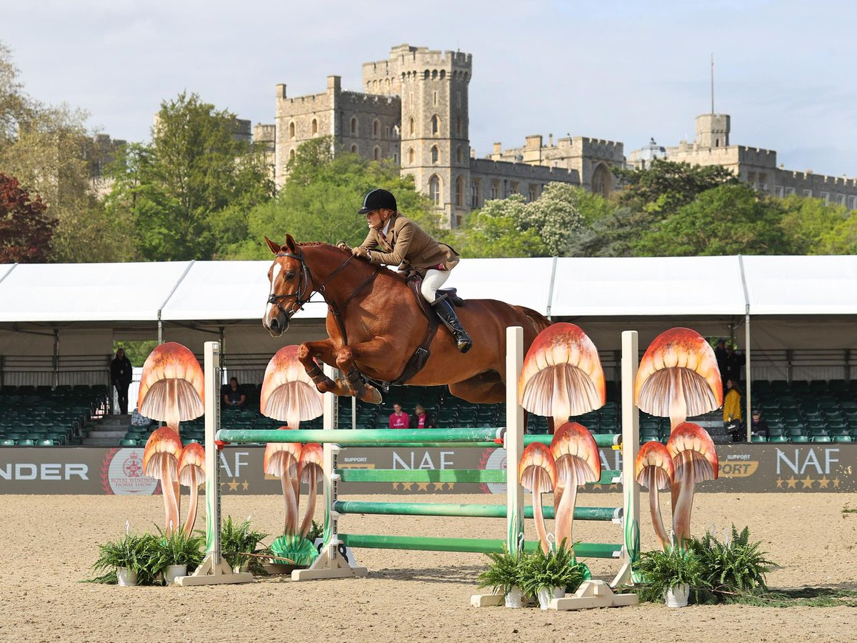 There's less than one week to go until the Royal Windsor Horse Show 🐎 Find a member of our team at the show for a chance to enter our Equine America giveaway ✨ #HorseTrader #RoyalWindsorHorseShow #Windsor #Equestrian