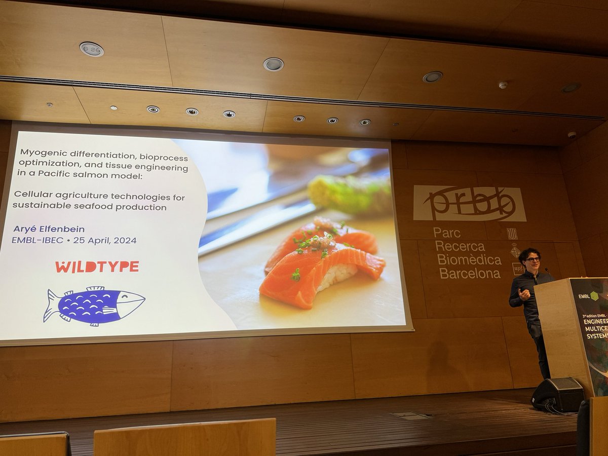 Day 2 was so diverse #EMBL_IBECConf. Many outstanding talks incl. @Sergiu_P_Pasca on brain organoids, @UbakaOgbogu on bioengineering ethics and  Aryé Elfenbein @wildtypefoods on lab-grown seafood 🍣 and more!