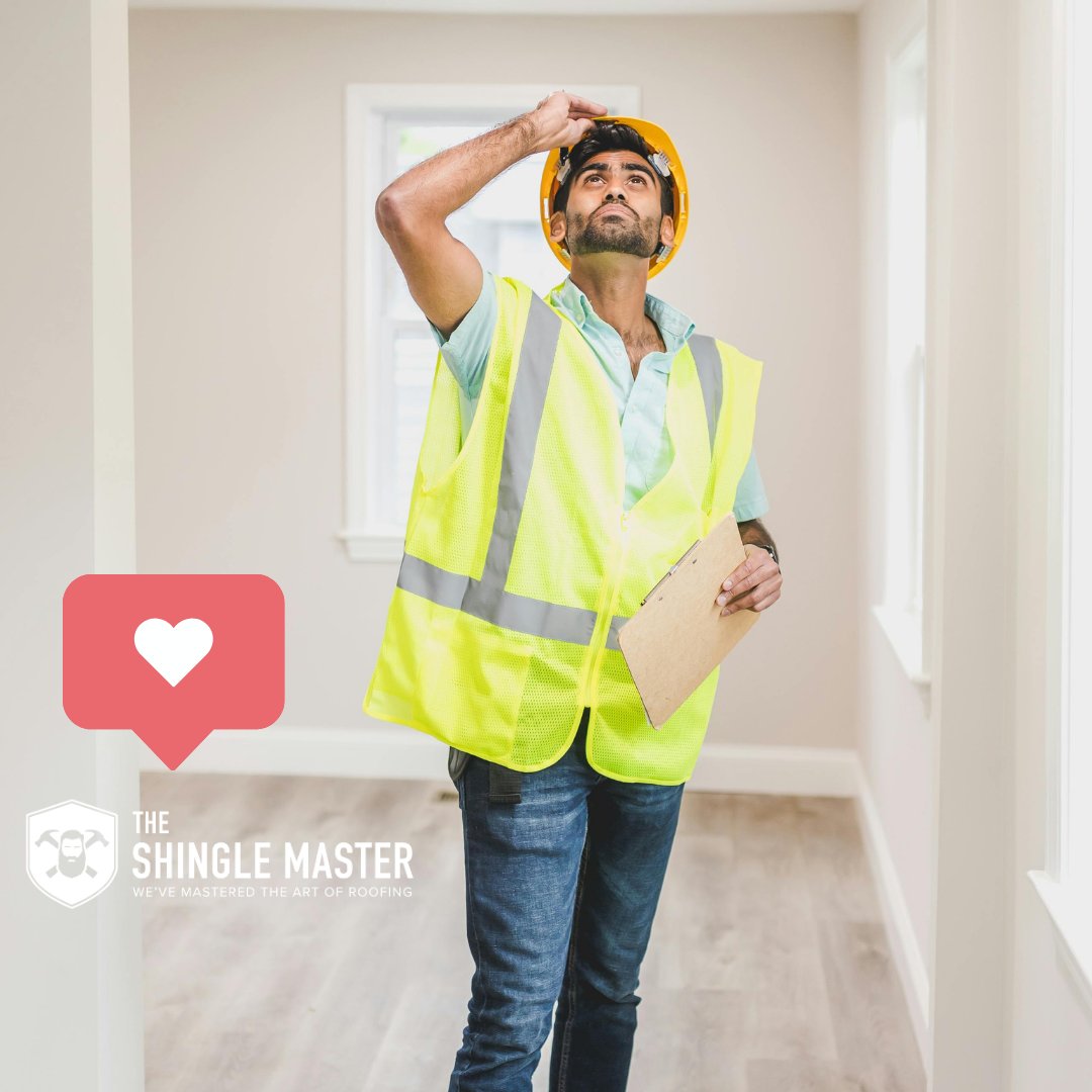 TheShingleMaster tweet media