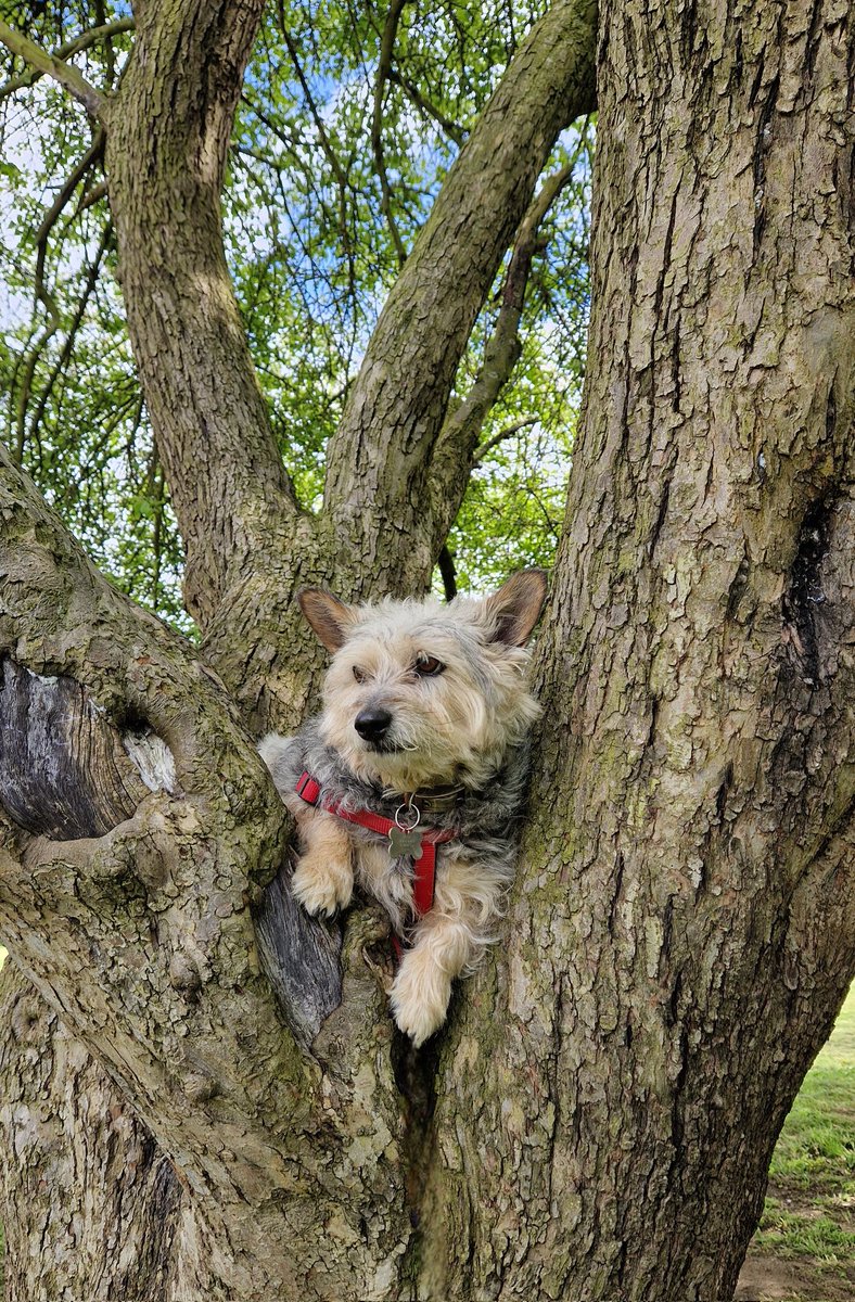 jennystape tweet picture