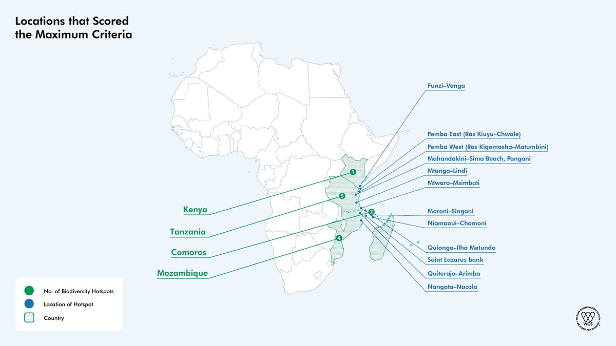 The new study found 119 ocean biodiversity hotspots across 11 countries. Of those, which are predicted to be the most biodiversity-rich?

Sites in Kenya🇰🇪, Tanzania🇹🇿 , Comoros🇰🇲, and Mozambique🇲🇿 showed the highest scores: bit.ly/3w03D2a

#OceanOptimism