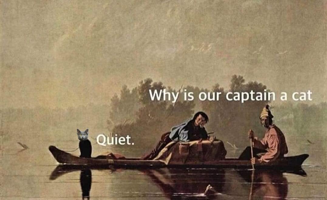 Midas the Mutated Cat ∴ tweet media