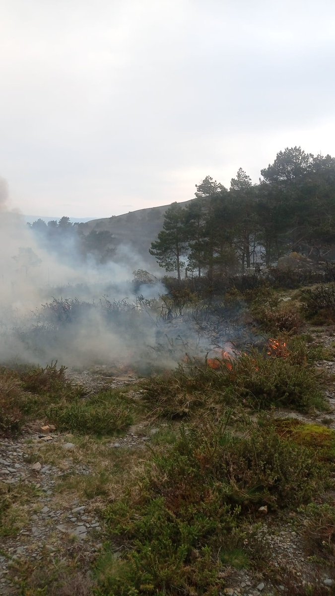 Ayer realizaron una quema prescrita en Allande #Asturias , #EPRIF+#BLP @BrifTineo+@BomberosAstur+ @AgentesMN 10 ha con objetivo de regeneración y mejora de pastizales para aprovechamiento ganadero y #PrevenciónIIFF.

#RxFire
#GoodFire

Somos #BRIF de @mitecogob