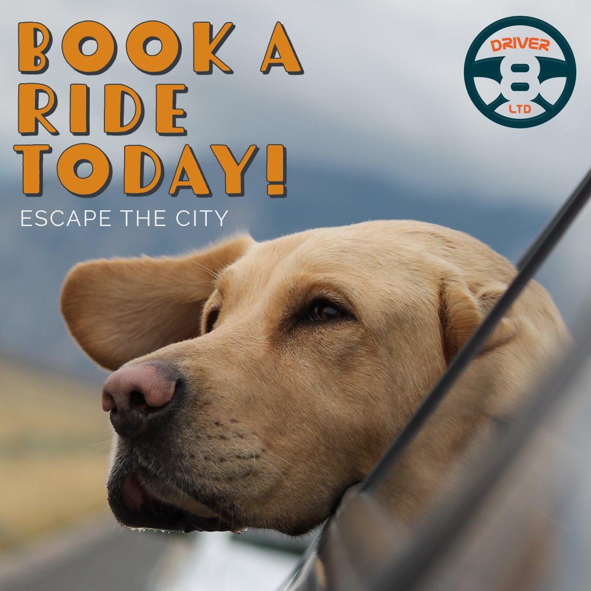 Driver_8_app's tweet photo. Escape the city this weekend with Driver8! Discover a new town, visit the countryside, or enjoy a coastal retreat. Share your getaway adventures with us on social media. #EscapeTheCity #WeekendGetaway #Driver8 #TravelAdventures https://t.co/cR3u9KfgyK