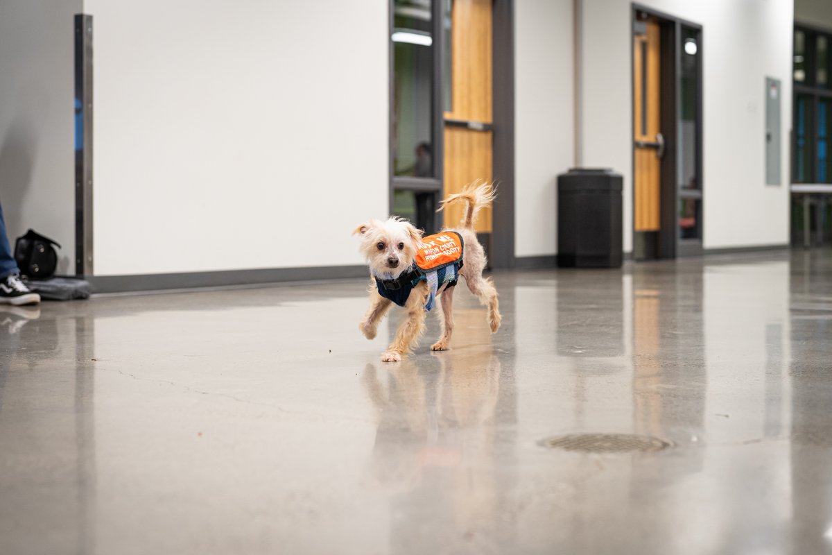 Thanks to our friends at the Marion County Humane Society for stopping by with some of their adoptable (and adorable) pups for some pre-finals de-stressing. 🐶