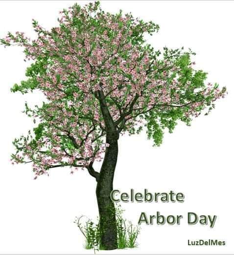 APRIL 25TH ARBOR DAY Details on Blog LuzDelMes 👉luzdelmes.blogspot.com/2022/04/arbor-… ¡CELEBRA EL DÍA DEL ÁRBOL! #ArborDay 🌲#LuzDelMes ✨