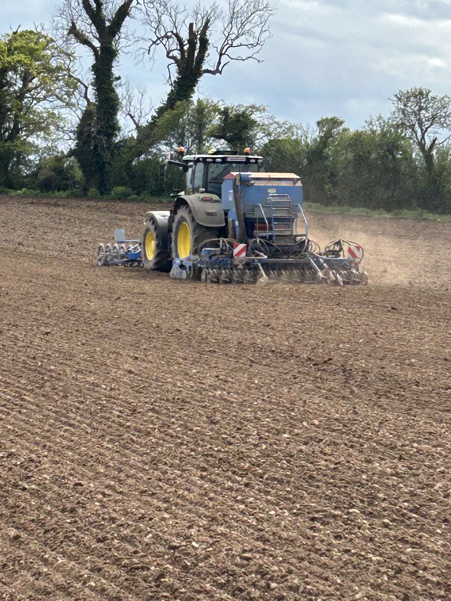 This makes me happy 😃. #harvest2024 starts here. Sowed this field on the 24th of Feb last year 25th of April this year.