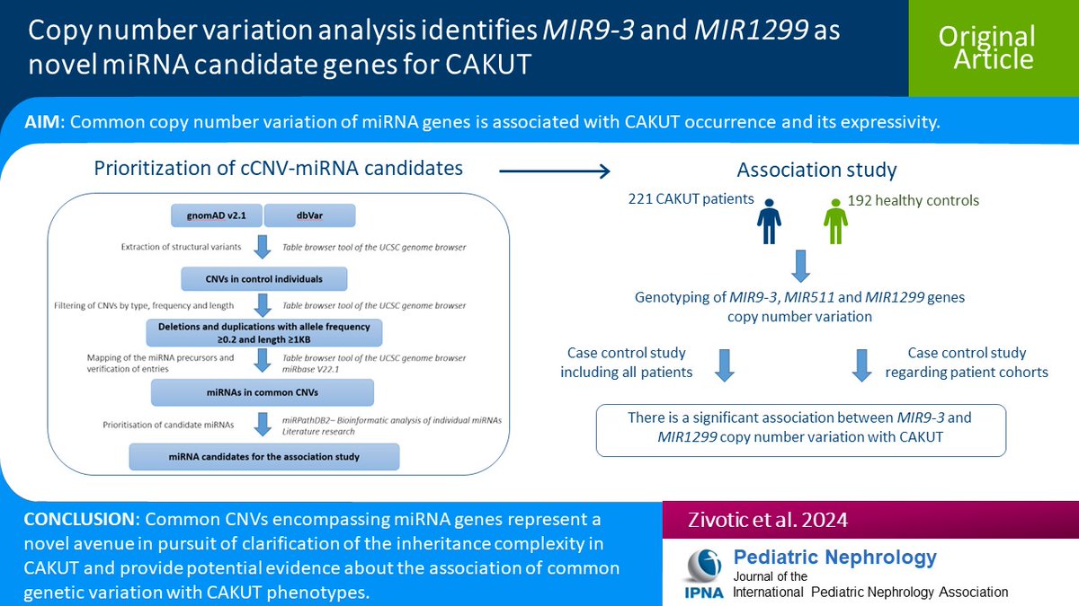 Congenital anomalies of the kidney and urinary tract (CAKUT) represent a frequent cause of pediatric kidney failure. CNV genomic variations can also affect miRNA regions. Read this Original Article on cCNV-miRNAs & CAKUT occurrence & expressivity. link.springer.com/article/10.100…