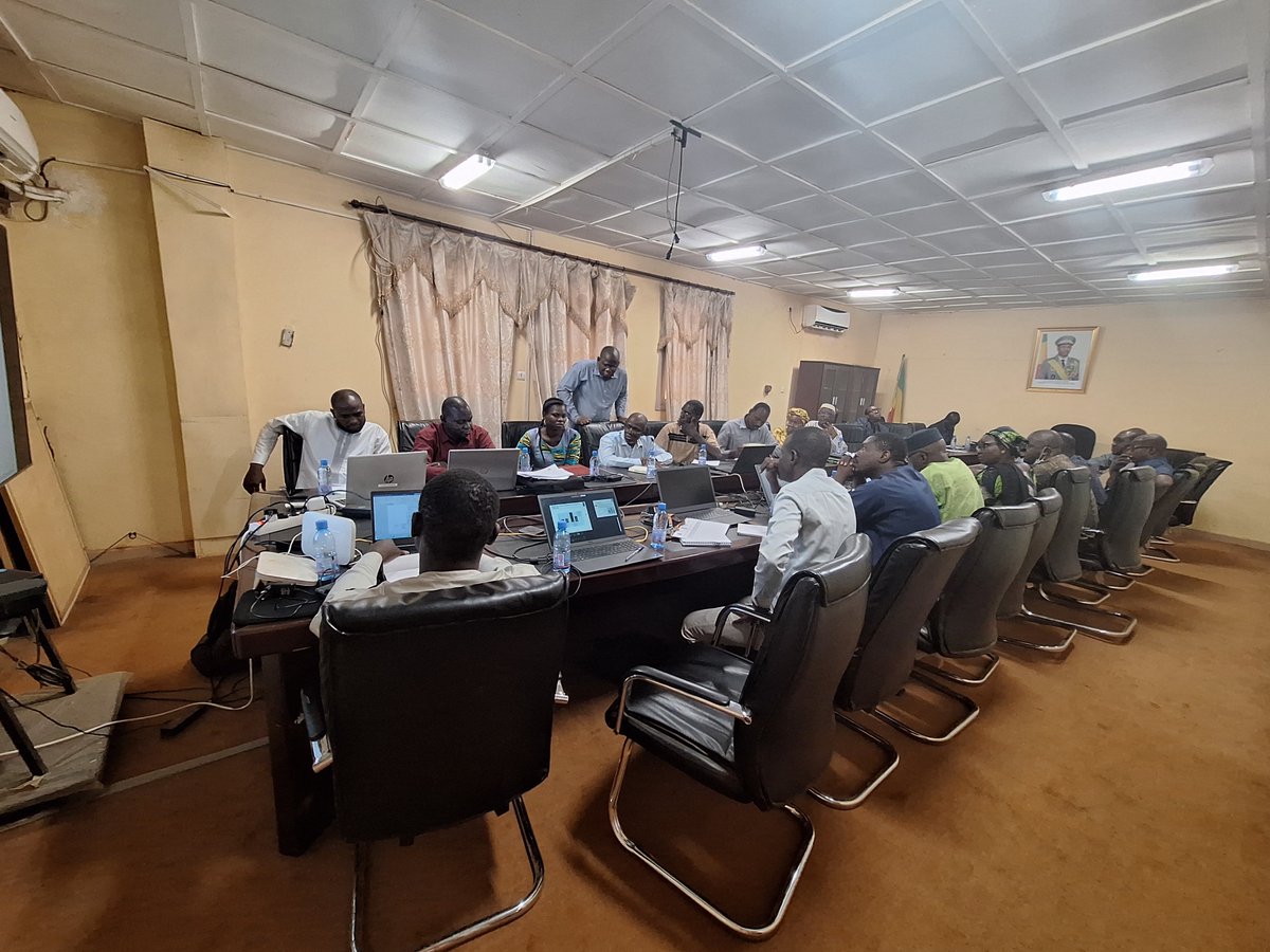 Dans le but de promouvoir l'accès à l'électricité⚡️via les énergies renouvelables☀️en zones rurales, le ministère de l’Énergie du🇲🇱 avec le @PNUDMALI organise un atelier sur les politiques d'atténuat° des risques des investissements du secteur privé avec les acteurs du domaine.