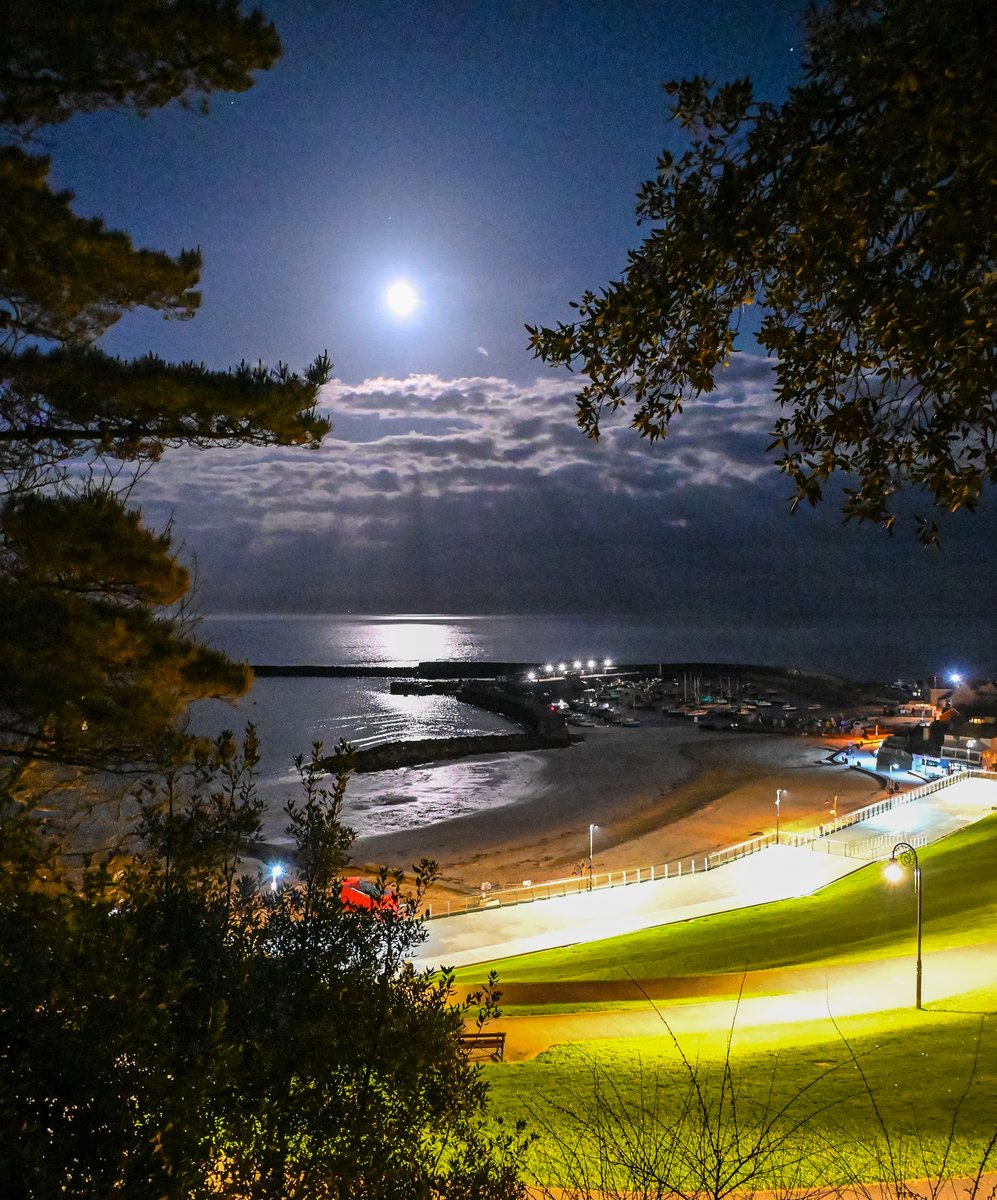 Midnight moonlight
The view from the boardwalk in the gardens at 12:30am this morning.
#lymeregis #dorset #moonlight