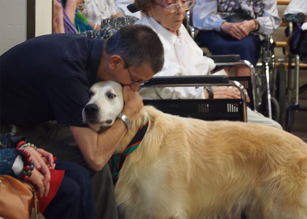 La interacción con perros estimula diferentes áreas cognitivas, físicas y emocionales, 🐶♥️ @apaceburgos y su proyecto #AmigoPerro ha sido seleccionado en el concurso de @CinfaSalud #LaVozDelPaciente y necesita tu voto @alejandrosanz @LFdCesmas 🫵🏼 🫵🏼➡️ tinyurl.com/y36ndsbm