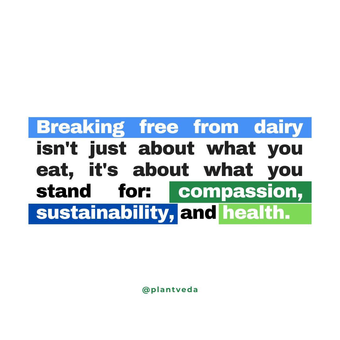 PlantVeda's tweet photo. At Plant Veda we believe in nourishing your bodies, nurturing your souls, and paving the way for a world where kindness reigns supreme. 🌱💚

#DitchDairy #PlantPowered #PlantVeda #DairyFree  #SupportLocalBC #DeltaBC #YVRVegans https://t.co/IMdYVmCibG