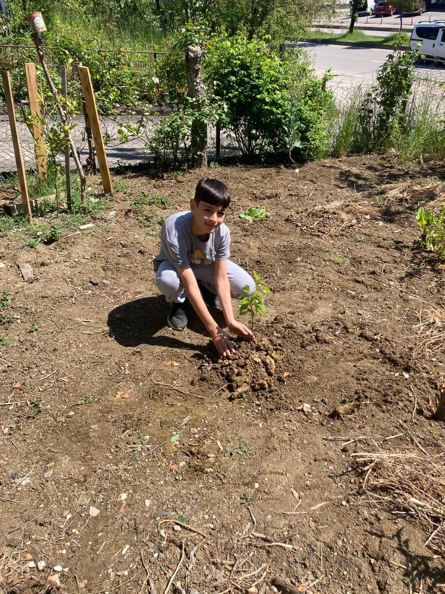 ilkerBalk5's tweet photo. #Havadarbartın  #Hendekyanıortaokulu https://t.co/oKJIk5s5s9