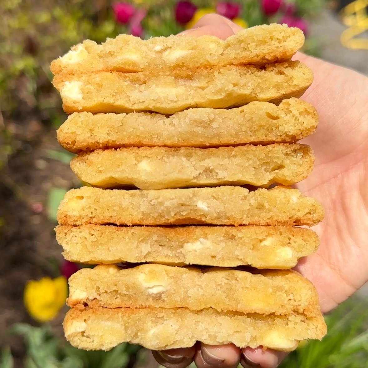 Lemon White Chocolate cookies are BACK 🍋🍋🍋 bright lemon cookies packed with melty white chocolate. this fan-favorite flavor won’t last long!