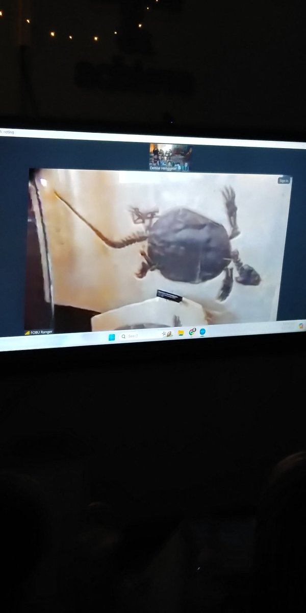 Denise Henggeler tweet media