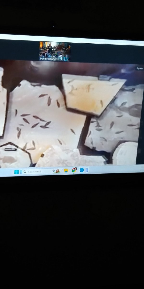 Denise Henggeler tweet media