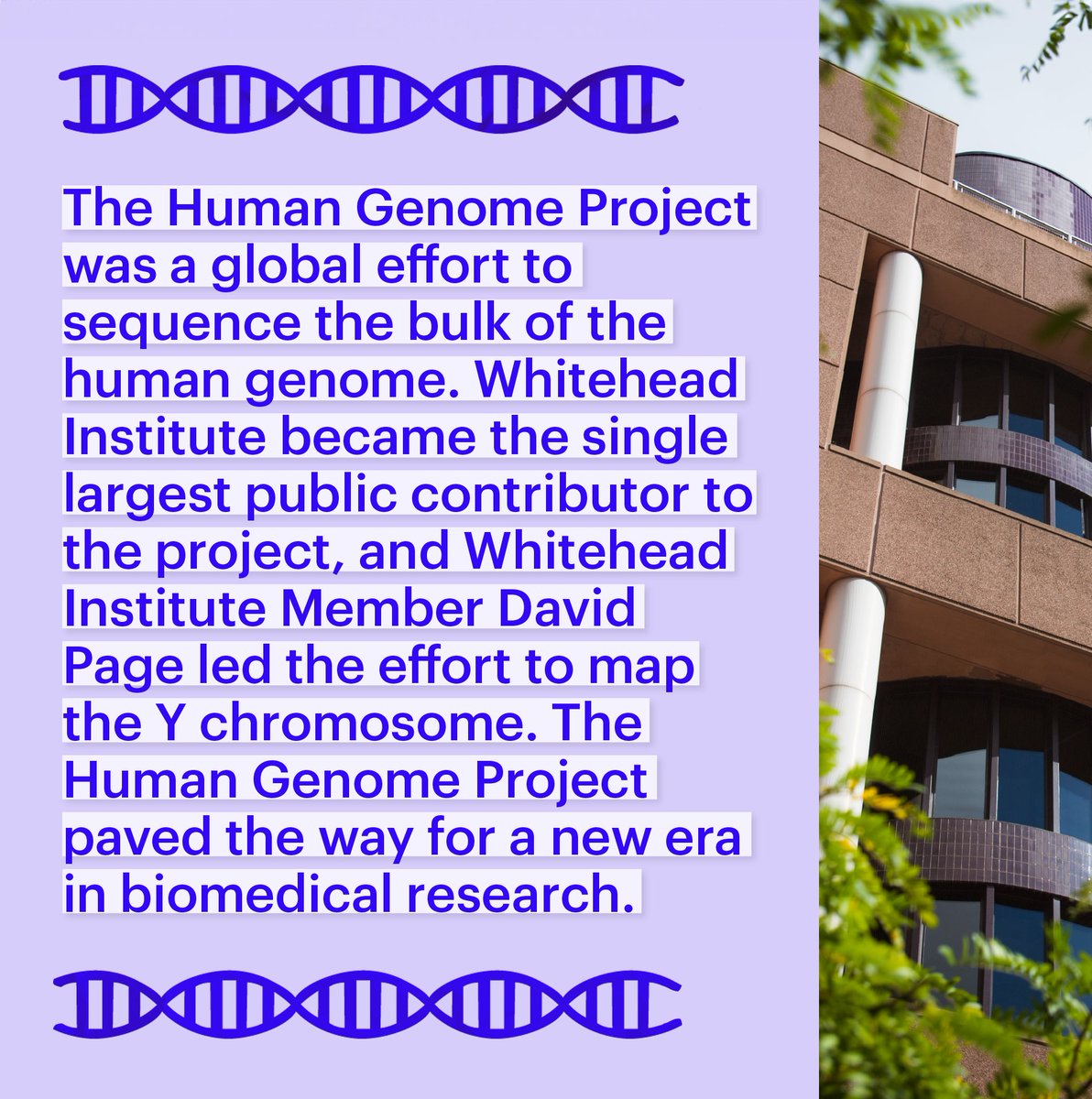 At Whitehead Institute, we're not just huge fans of DNA — DNA research is an integral part of our history. #DNADay2024