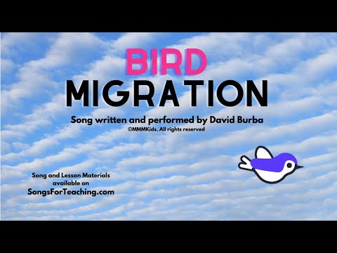 Learn about bird migration with today's video! 

youtu.be/lAG0swF9cZs 
#scienceclass #birdmigration #springlessons
