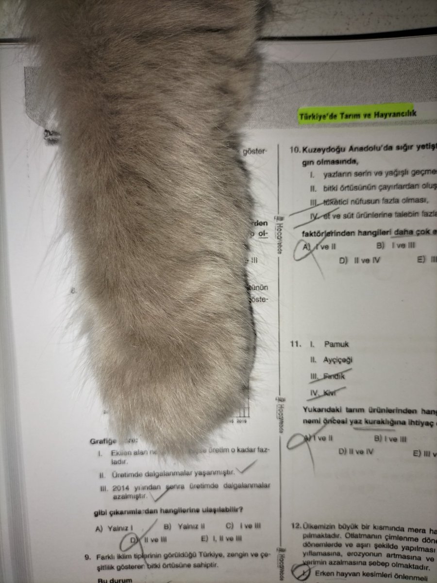 ayyzaadee's tweet photo. Arkadaşlar çok zor şartlar altında ders çalışıyorum 😂😻 https://t.co/dldmEzw2bV