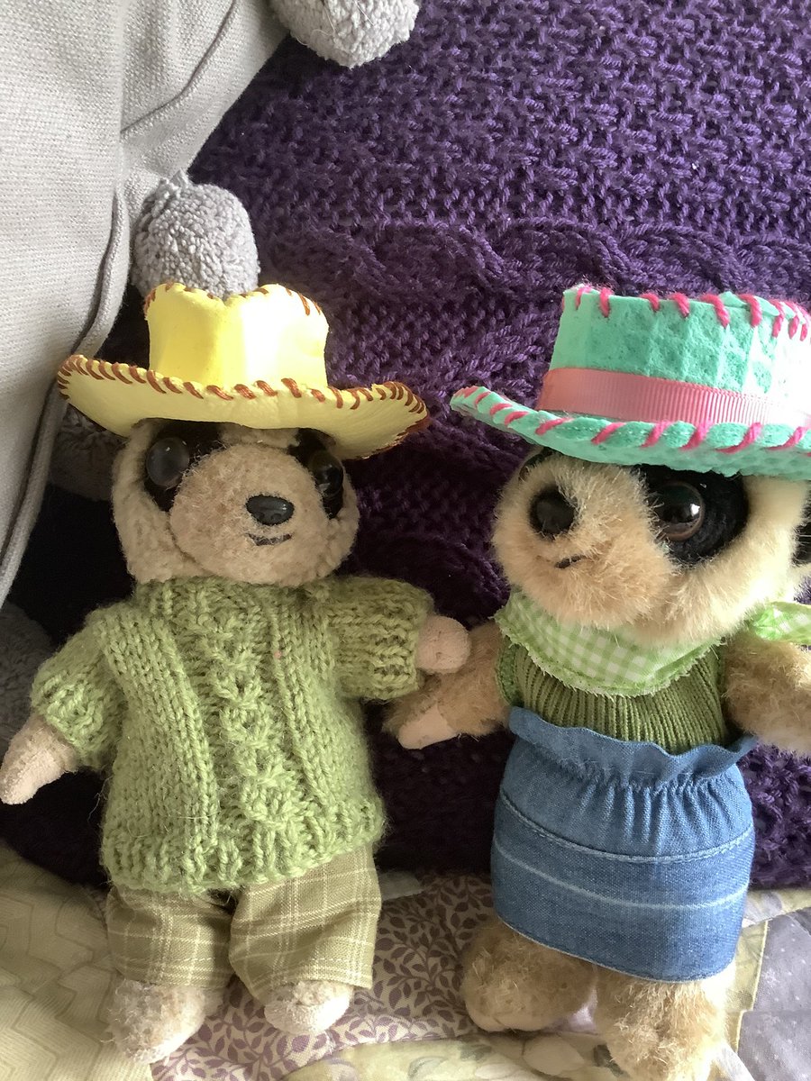 FredTedOlga's tweet photo. How to make a hat anyone? #MakeAHat @monkey_maisie @BearBendor72384 number one https://t.co/K3NTvseLlt