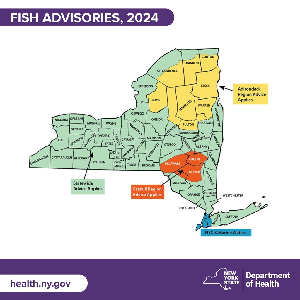 The Department has updated its advice for eating fish caught from waters across the State. You can search that guidance by waterbody or county here: health.ny.gov/environmental/…