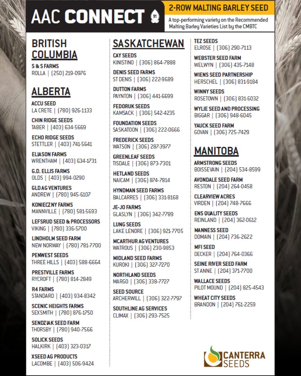 canterraseeds's tweet photo. It's go time! 🌱 Making any last-minute decisions? Give an #AACConnect seed grower a call. AAC Connect malting barley has great yield potential and is listed as "Growing Demand" with @canadianbarley. https://t.co/bC1435XEjw https://t.co/M4XYF2v8cy