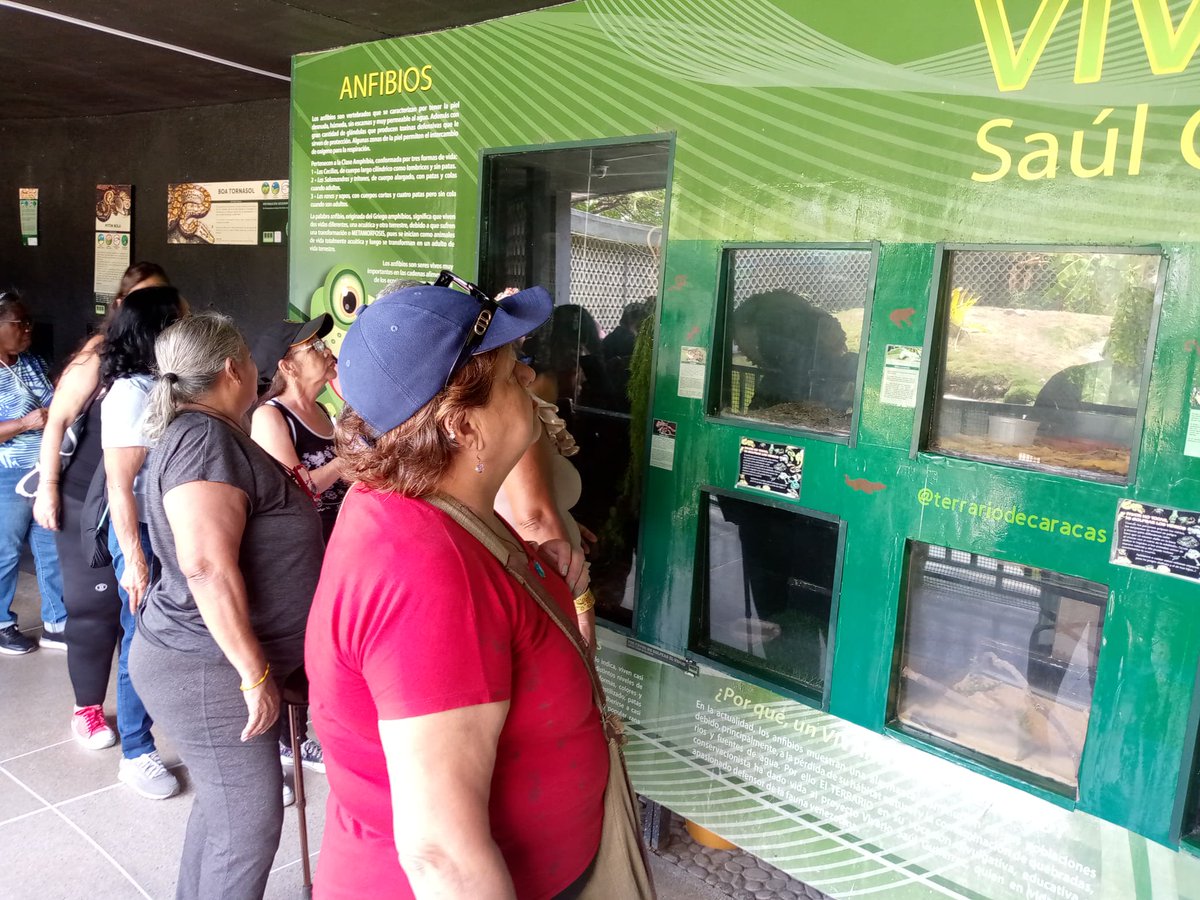 El Instituto Venezolano de los Seguros Sociales a través de la Dirección General de Afiliación y Prestaciones en Dinero, realizó un paseo guiado al Parque Generalísimo Francisco de Miranda para 30 abuelas y abuelos.
#UnionDeLosPueblos 
<a href="/MagaGutierrezV/">Magaly Gutiérrez Viña</a> 
<a href="/NicolasMaduro/">Nicolás Maduro</a>