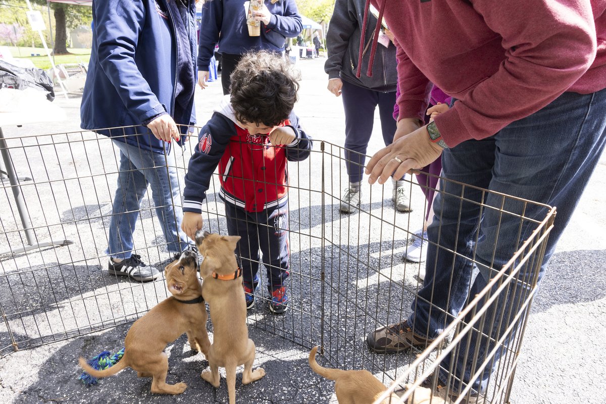 Despite rain showers in the beginning, tails were wagging, cats were purring & local pet lovers were all smiles at our Pet Expo last Saturday. @RepBorowski & I are grateful to everyone who braved the weather to join us. 🐶🐈