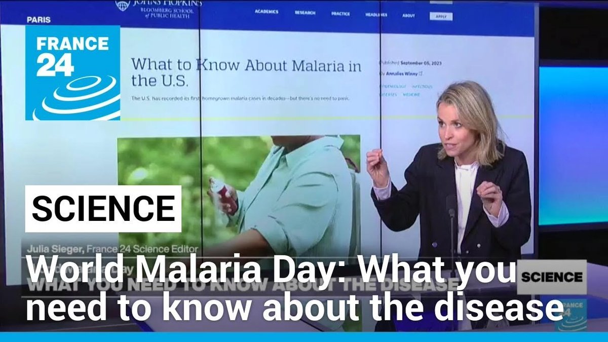 ▶️ World Malaria Day 2024: What you need to know about the disease f24.my/AHkM.x