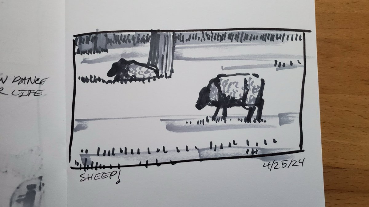 Sheep!
#dailydrawing #sheep #art #sketch